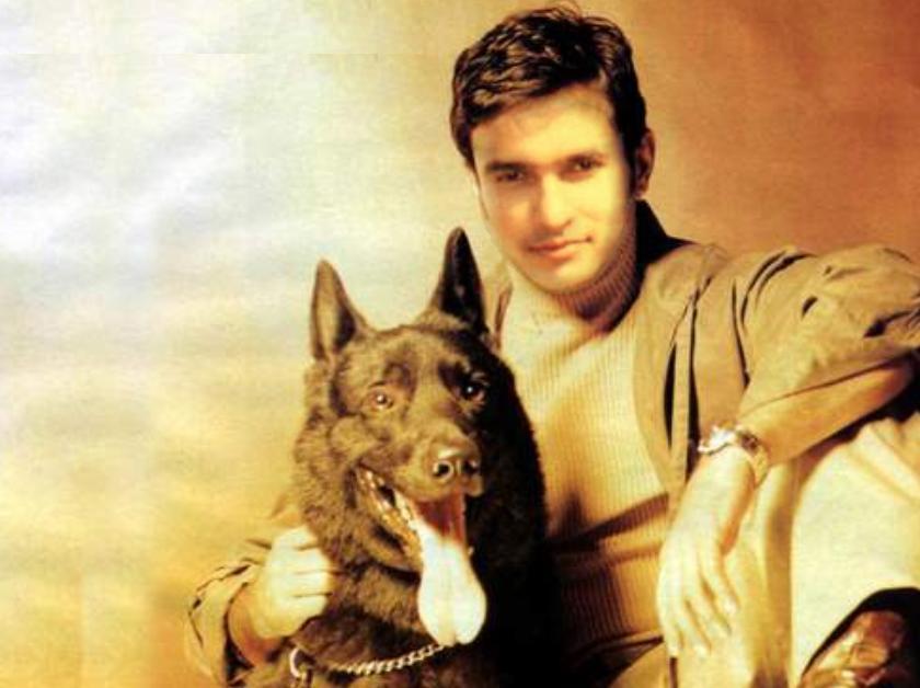 bow-wow